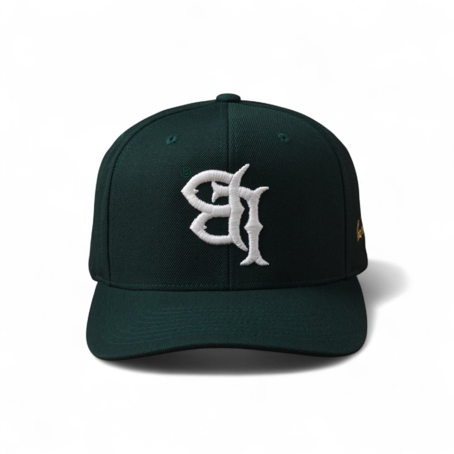 Classic Flipped LB Snapback