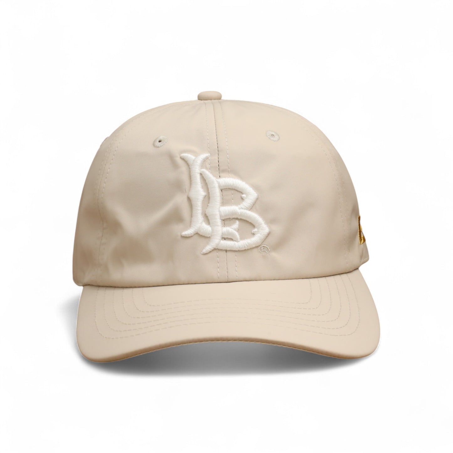 Dri-Fit LB DAD Hat