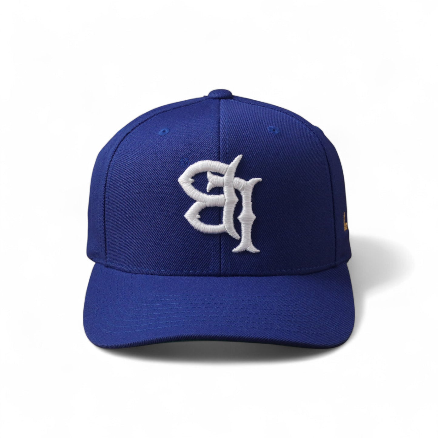 Classic Flipped LB Snapback