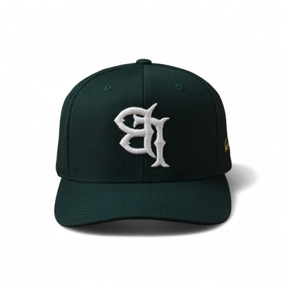 Classic Flipped LB Snapback