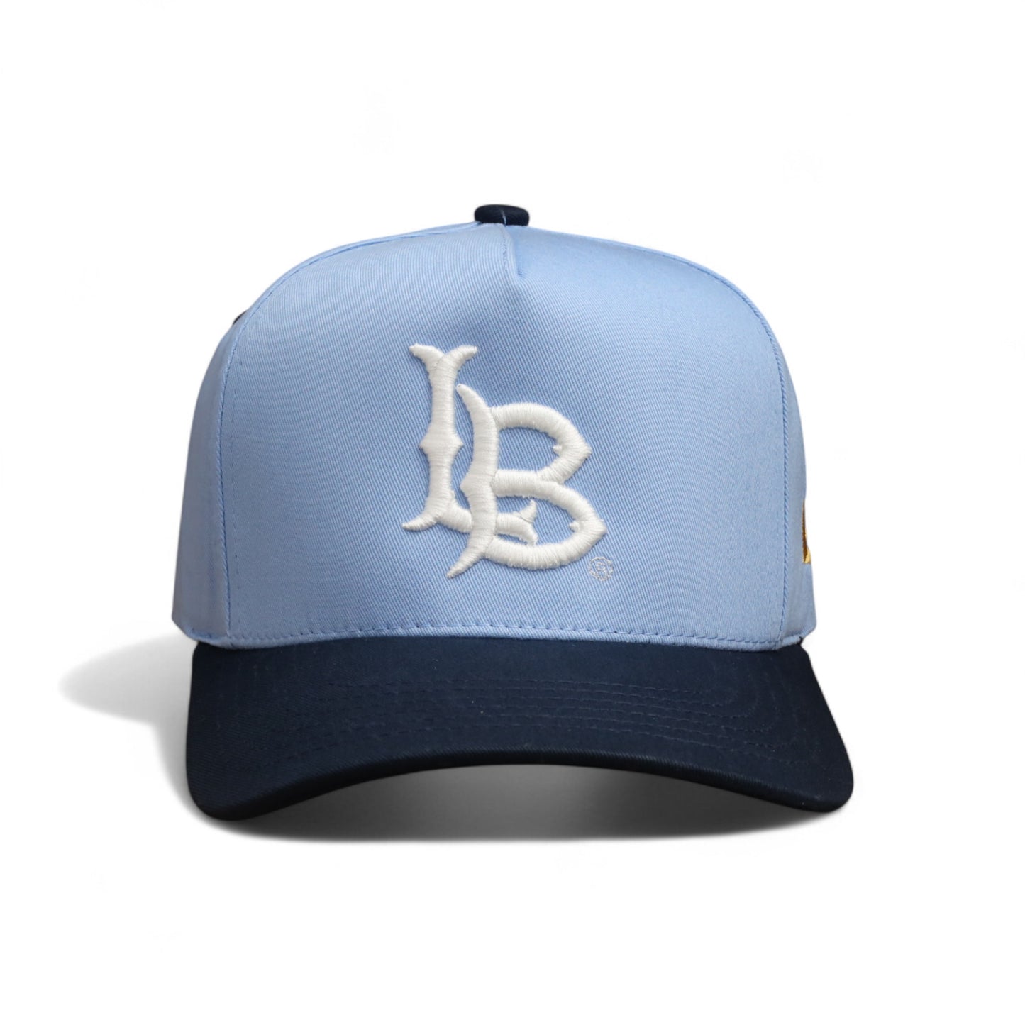 LB TwoTone Dark Snapback