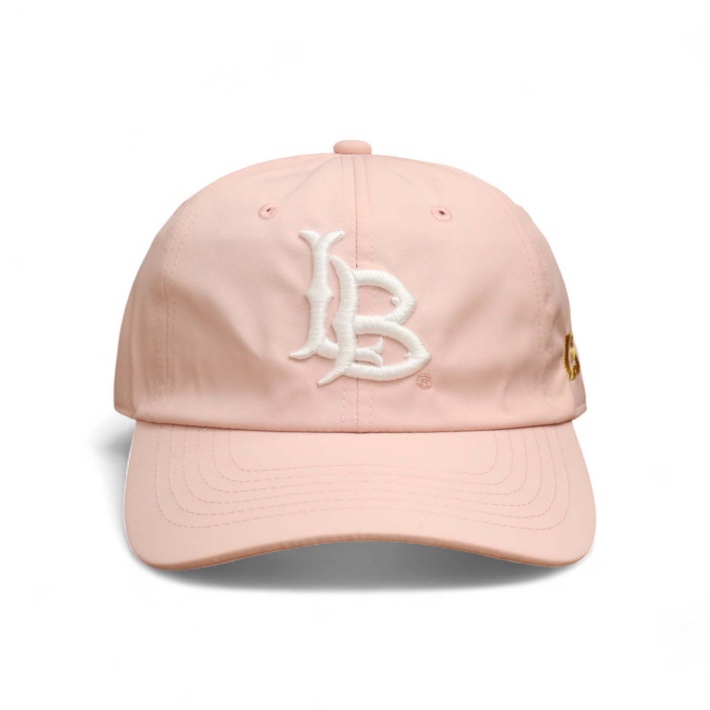 Dri-Fit LB DAD Hat