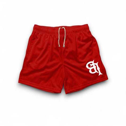 Flipped LB Mesh Shorts